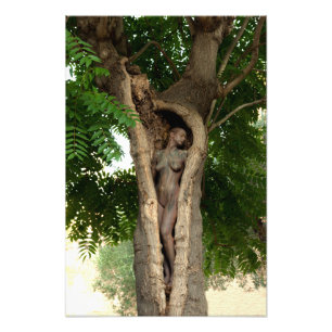 Impression Photo Heart of the Tree by Johannes Stötter