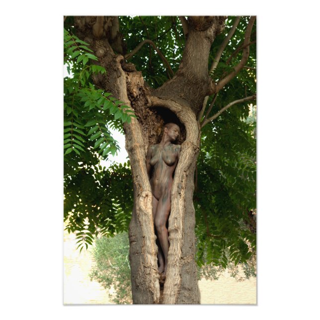 Impression Photo Heart of the Tree by Johannes Stötter (Devant)