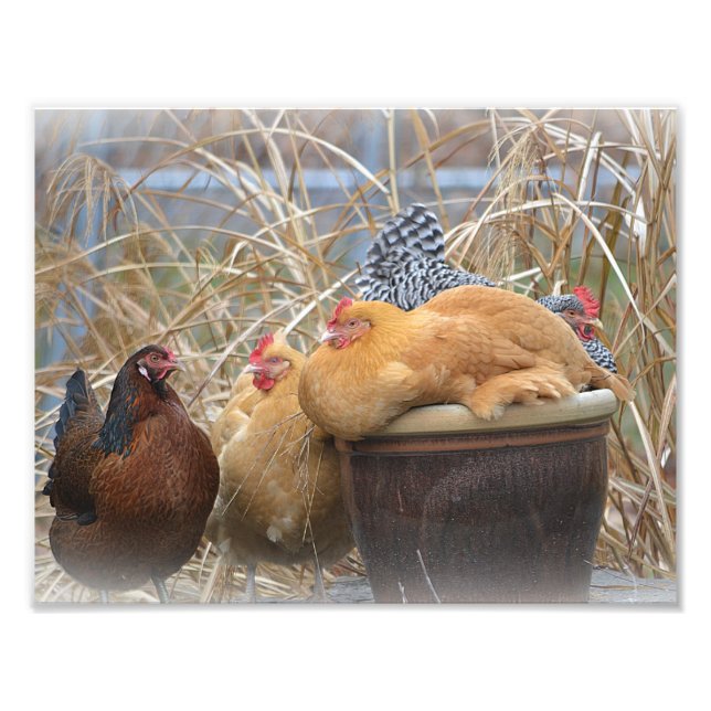 Impression photo Hen Party (Devant)