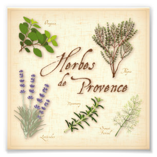 Impression Photo Herbes de Provence