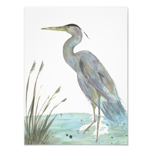 Impression Photo Heron dans l'aquarelle du marais (Devant)