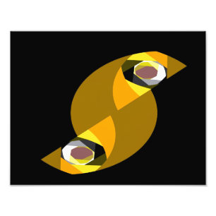 IMPRESSION PHOTO HIBOU