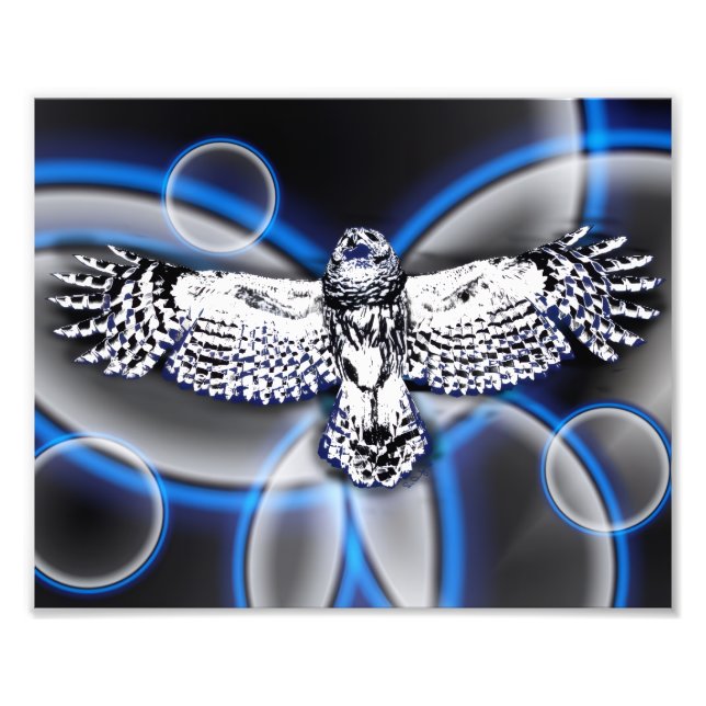 Impression Photo Hibou (Devant)