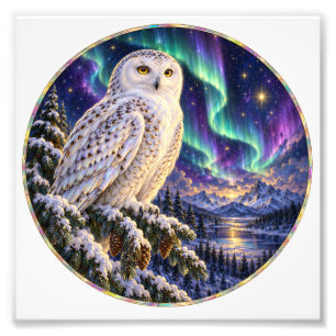 Impression Photo Hibou des neiges sous l'aurore boréale hivernale