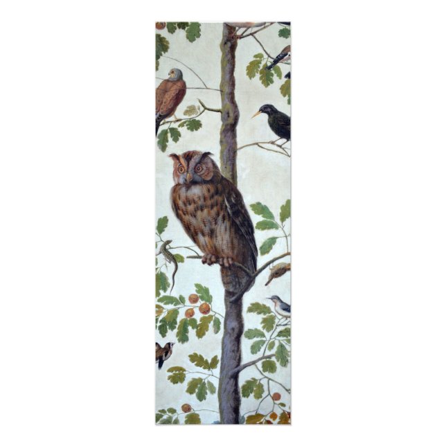 Impression Photo Hibou Vintage (Devant)