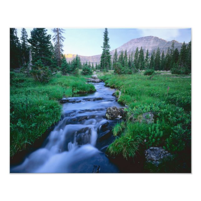 Impression Photo HIGH UINTAS WILDERNESS, UTAH. Fourche Stillwater (Devant)