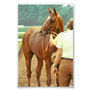 Impression Photo Hippocampe Thoroughbred Affirmé 1978