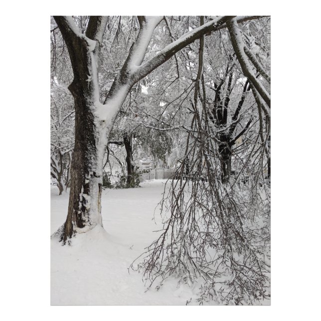Impression Photo Hiver à Lafayette Carré, Washington, DC (Devant)
