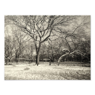 Impression Photo Hiver de New York - Neige de East Village