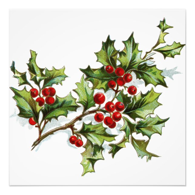 Impression Photo HollyBerries20150801 (Devant)