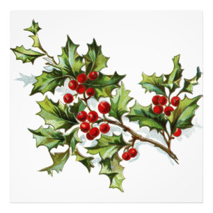 Impression Photo HollyBerries20150802