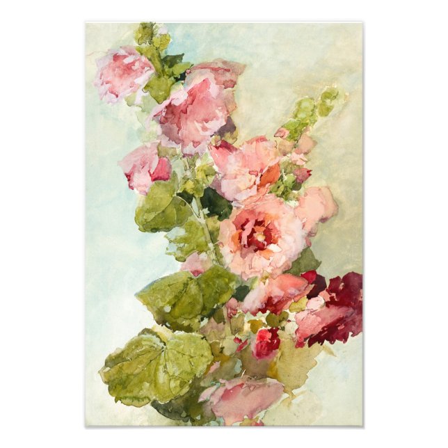 Impression Photo Hollyhocks par Franz Bischoff (Devant)
