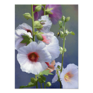 Impression Photo Hollyhocks - Peinture numérique - élargissement de