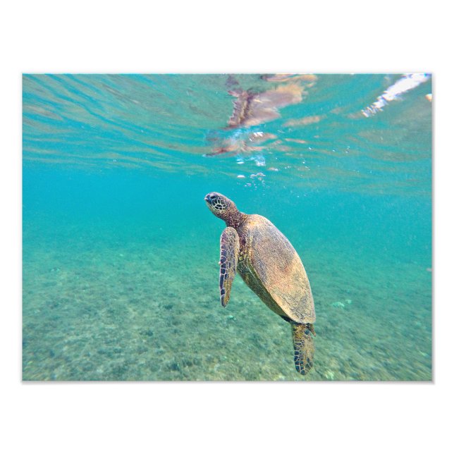 Impression Photo Honu Hawaiin Green Sea Turtle Underwater Print (Devant)