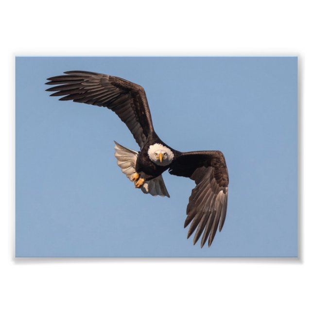 Impression Photo Hors De Mon Chemin Eagle (Devant)