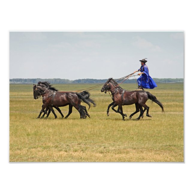 Impression Photo Horseman hongrois et chevaux (Devant)