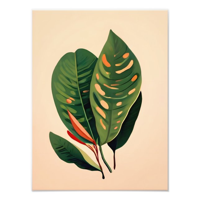 Impression Photo Hoya Art : Paradis de la feuille tropicale (Devant)