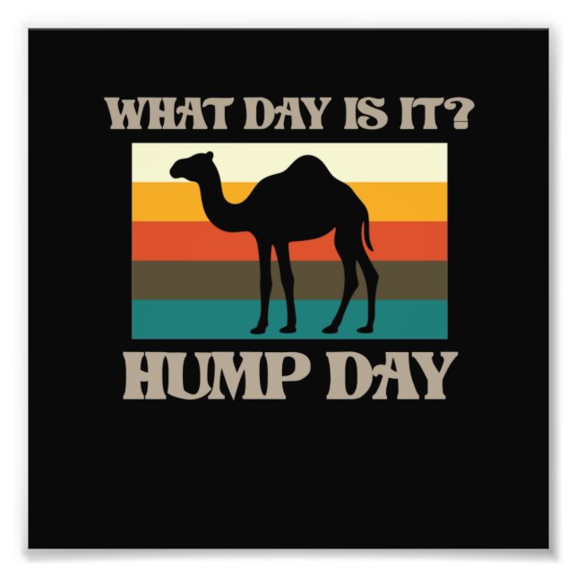 Impression Photo Hump Day Camel Animal Lover Camels Pet Owner Graph (Devant)