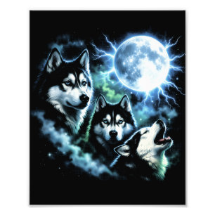 Impression Photo Husky sibérien hurlant à la Lune – Ciel nocturne C