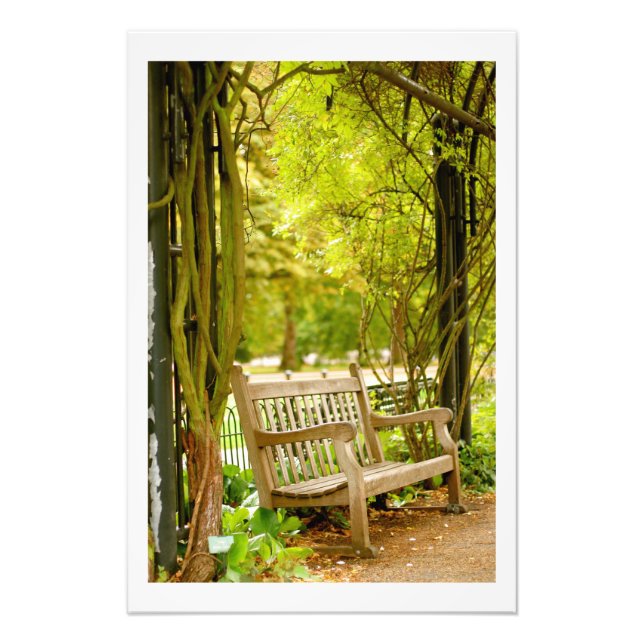 Impression Photo Hyde Park - Park Bench (Devant)