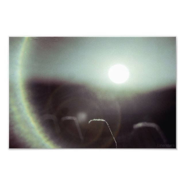 Impression Photo Icy Sun par Alexandra Cook (Devant)
