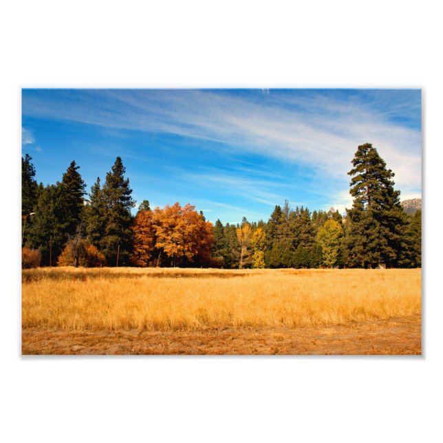 Impression Photo Idyllwild - Pine Cove (Devant)