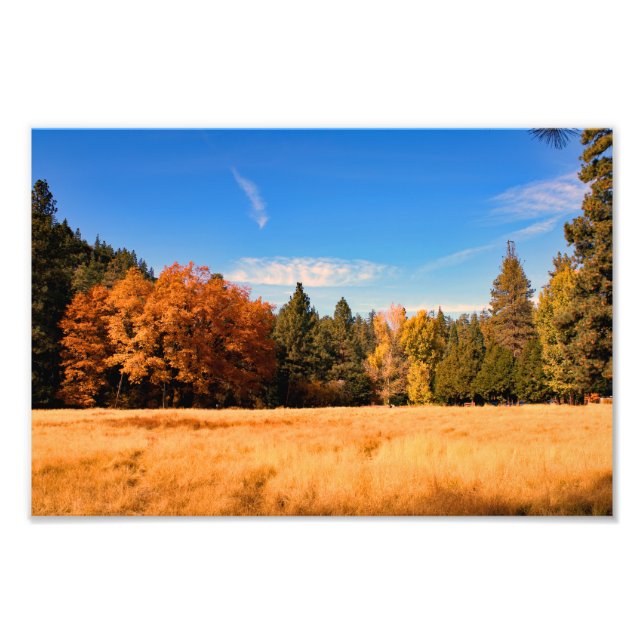 Impression Photo Idyllwild - Pine Cove (Devant)