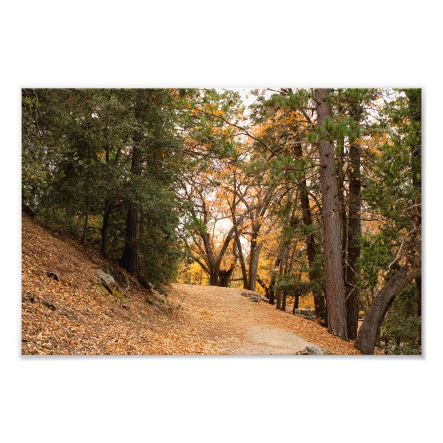 Impression Photo Idyllwild - Pine Cove (Devant)