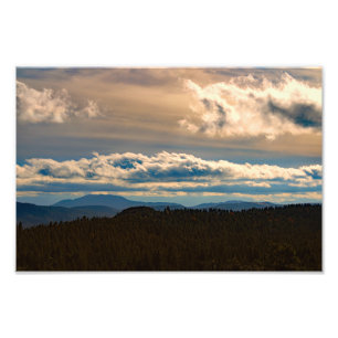 Impression Photo Idyllwild - Pine Cove
