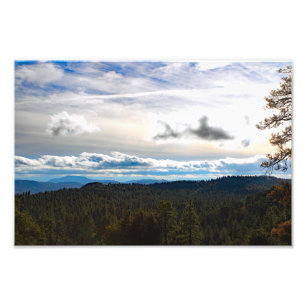Impression Photo Idyllwild - Pine Cove
