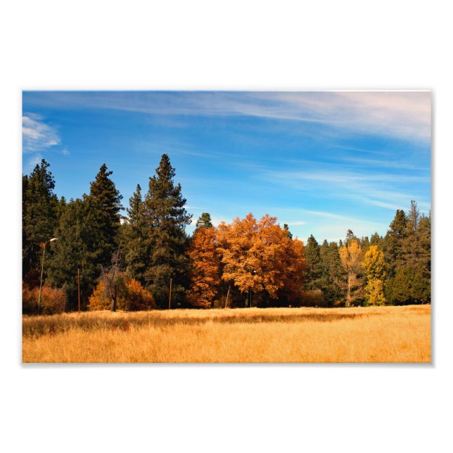 Impression Photo Idyllwild - Pine Cove (Devant)