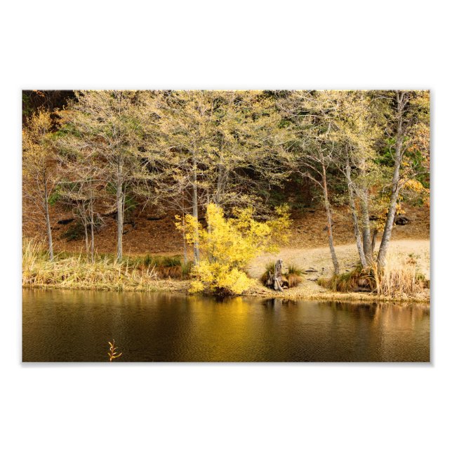 Impression Photo Idyllwild - Pine Cove (Devant)