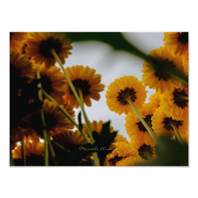 Impression Photo Il met en perspective (Devant)