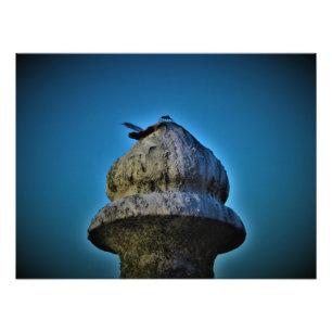 Impression Photo "Il vit au coucher du soleil"