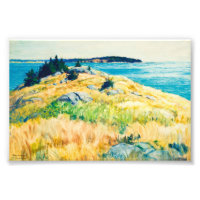 Îles du Maine par Newell Convers Wyeth