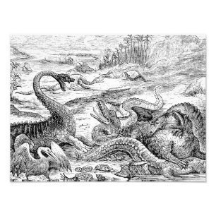 Impression Photo Illustration de dinosaures vintage des années 1800