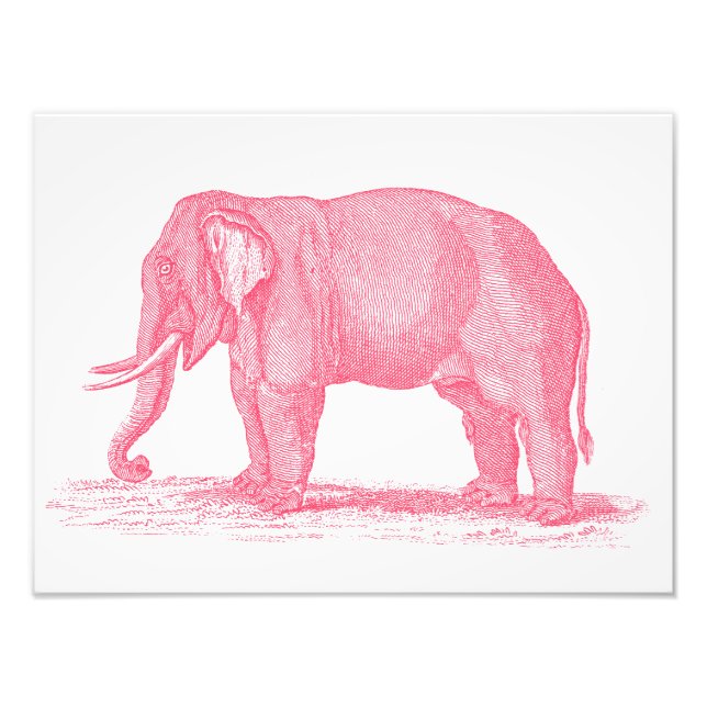 Impression Photo Illustration des éléphants roses vintages des anné (Devant)