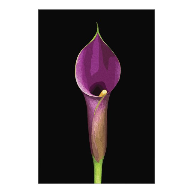 Impression Photo Illustration élégante de calla violet (Devant)
