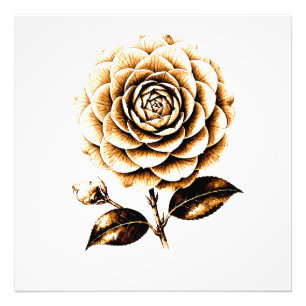 Impression Photo Illustration Florale Élégante en Bois de Rose Bron