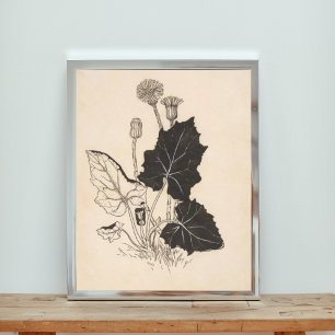 Impression Photo Illustration florale noire et blanche