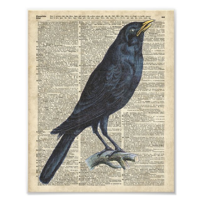 Impression Photo Illustration Vintage De Crow Sur La Page Old Encyc (Devant)