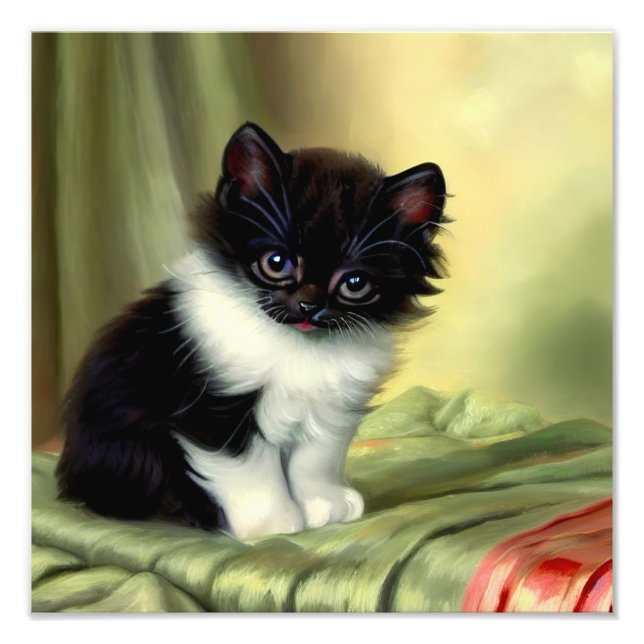 Impression Photo Illustration vintage Tuxedo Kitten (Devant)