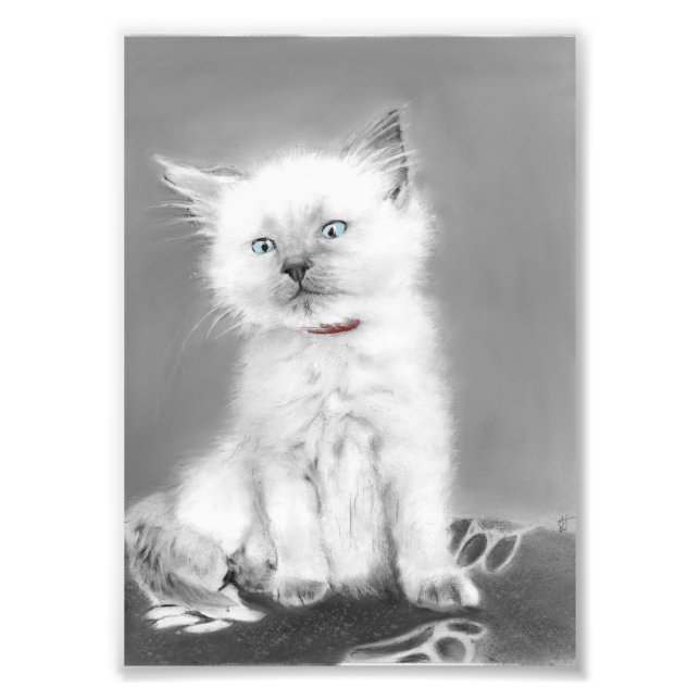 Impression Photo Image de chaton mignon (Devant)