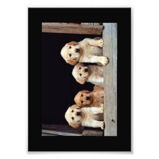 IMPRESSION PHOTO IMPRIMANTES PHOTOS PERSONNALISÉES