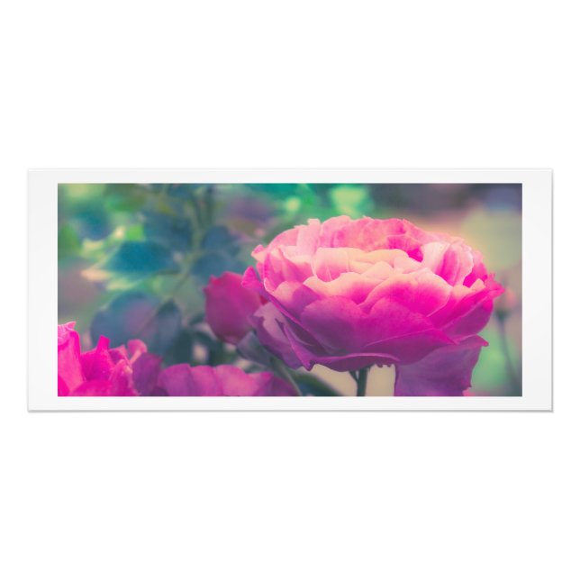 Impression Photo Imprimantes Roses violettes (Devant)