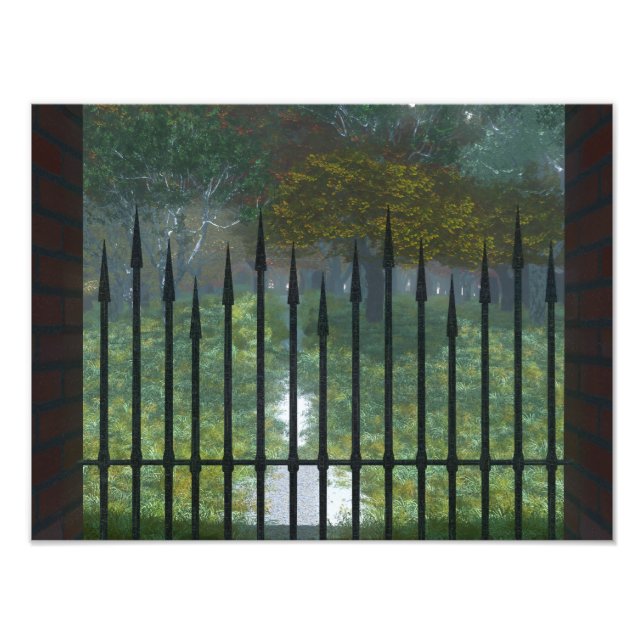 Impression Photo Imprimer dans l'ancienne forêt (Devant)