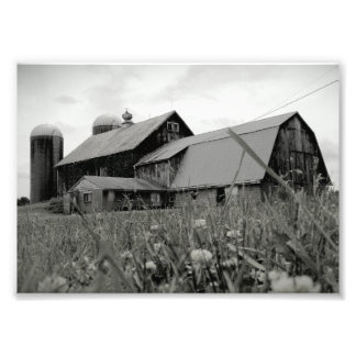 Impression Photo Intemporel