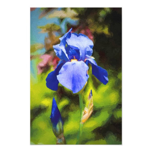 Impression Photo Iris bleu (Devant)