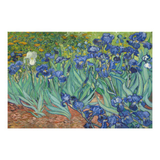 Impression Photo Irises par Vincent van Gogh