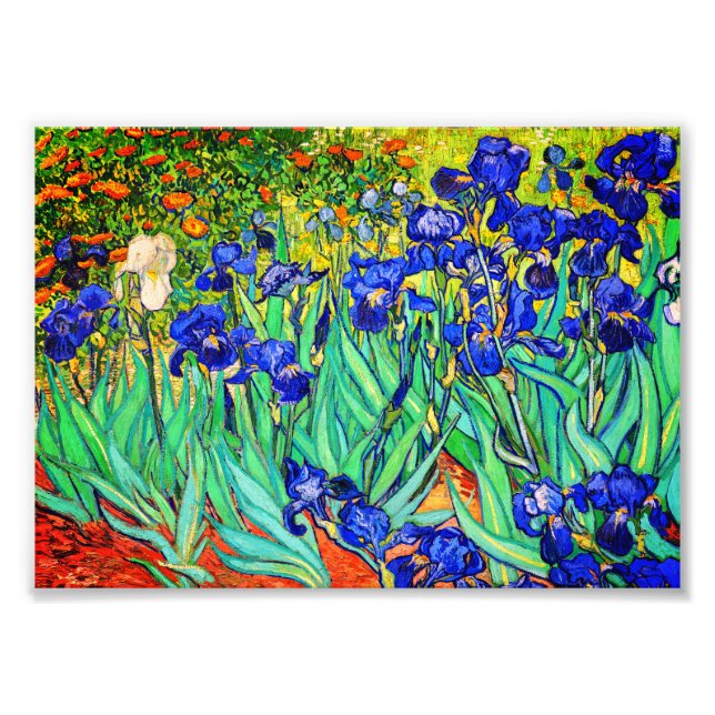 Impression Photo Irises par Vincent Van Gogh (Devant)